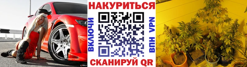 МАРИХУАНА планчик  Карабаш 
